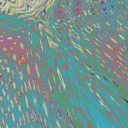 WasserFlöhe WimpernTierchen Zebrafische