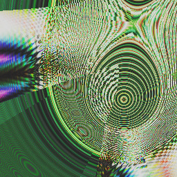 eyefeel wild