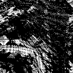 v Buck Capitalist Tradition // To Flim-Flam A Zim-Zam