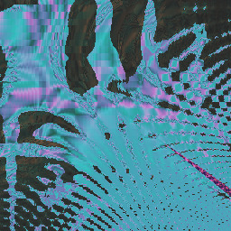 PIvoting   revord